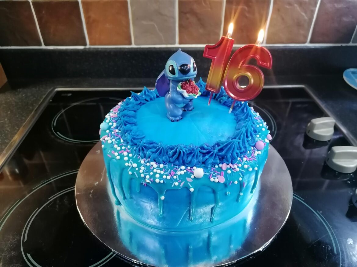 Stitch birthday cake I made for my Stepdaughter