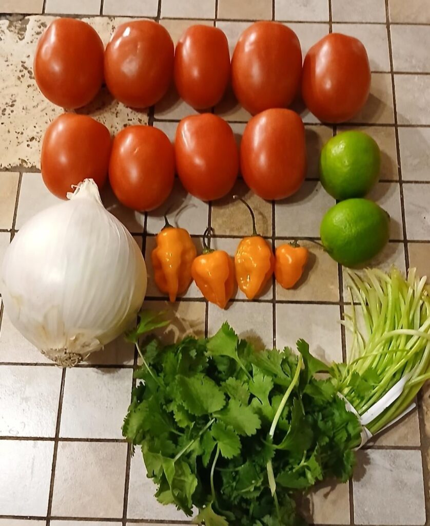 Just made Pico, did I use enough habaneros?