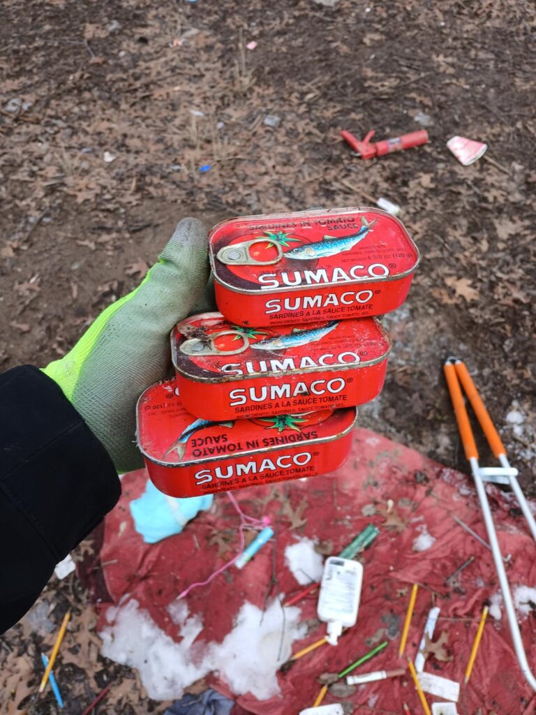 Found some sardines in the woods today