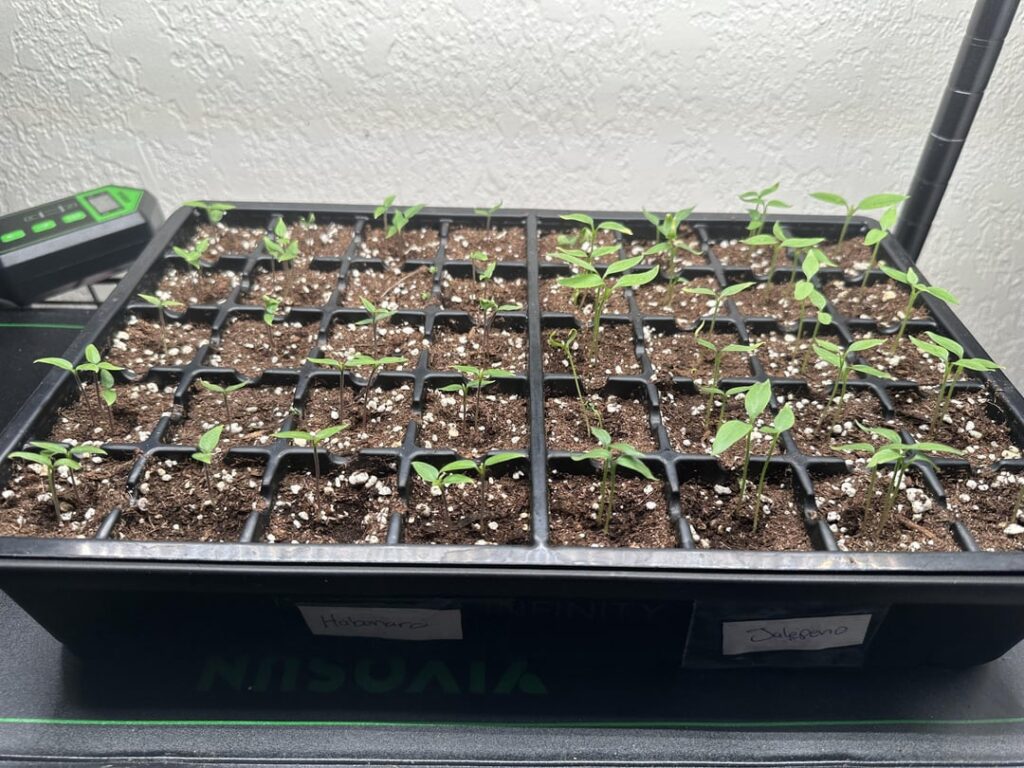 What am I doing wrong? What am I doing wrong?