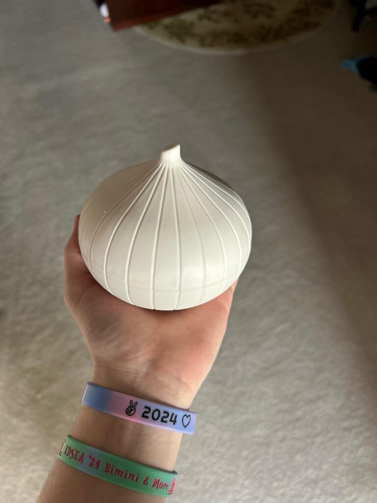 Onion container I found at a thrift store for $.25