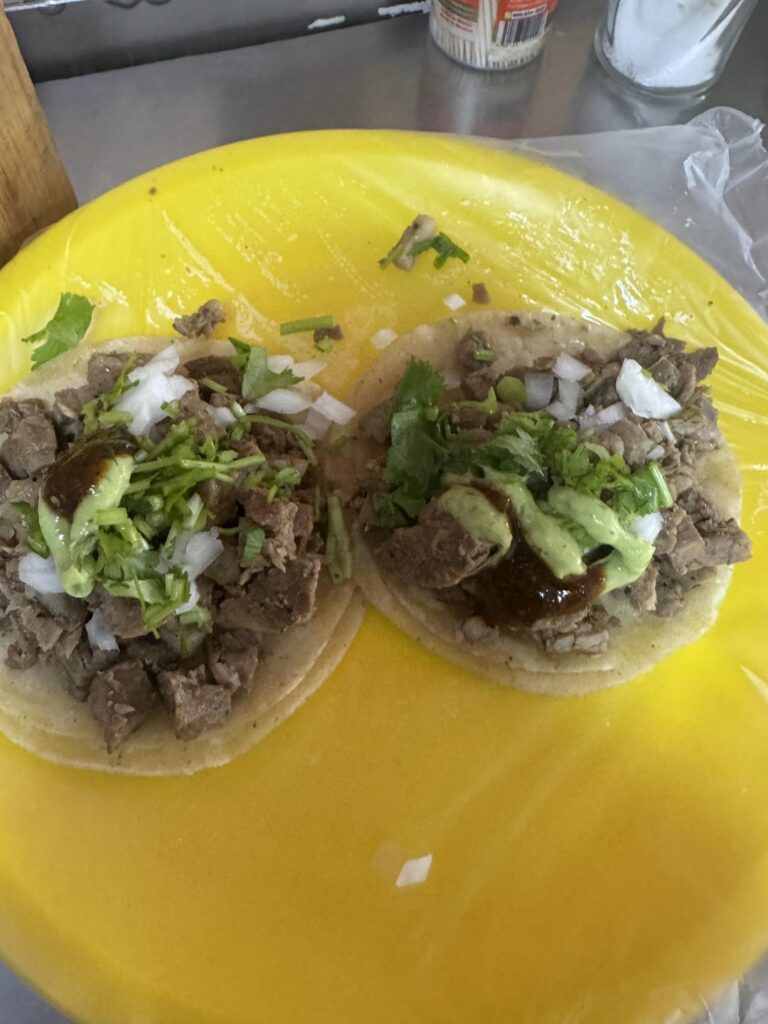 Puerto Vallarta tacos
