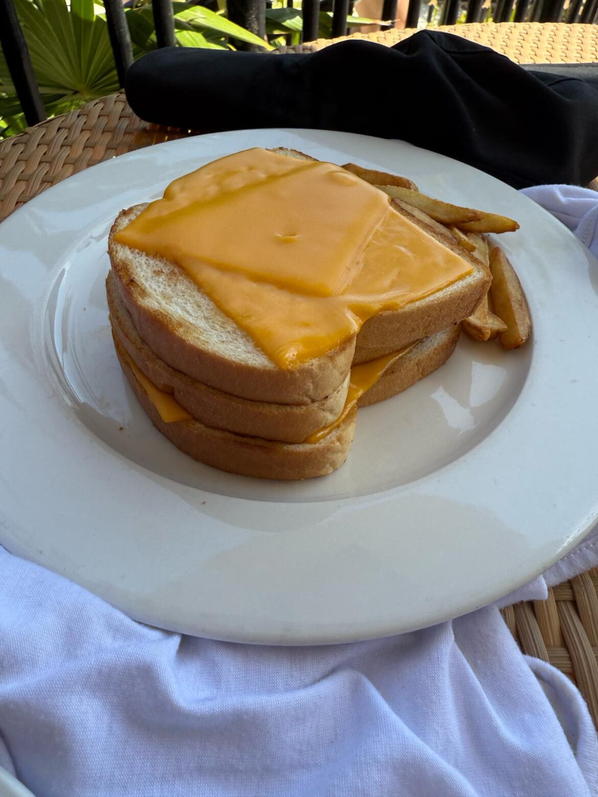 Ordered a grilled cheese in a resort in Cancun and received this beauty