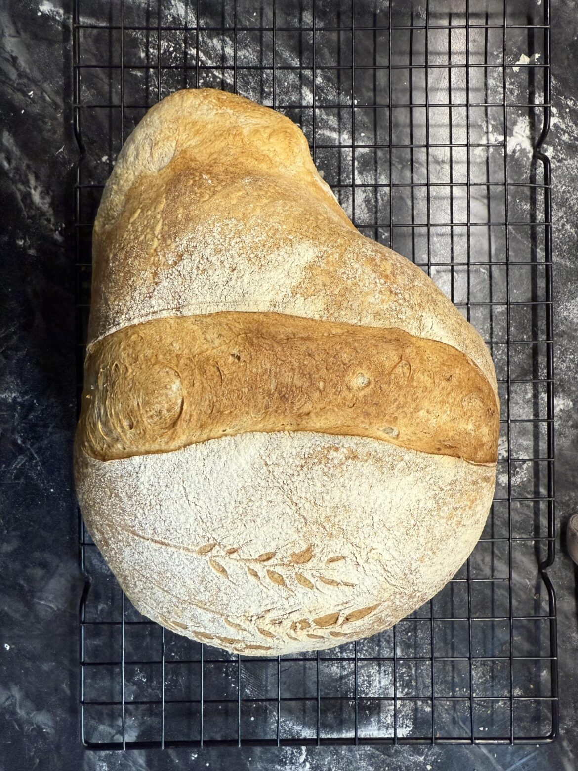 clearly my open baking could use some work