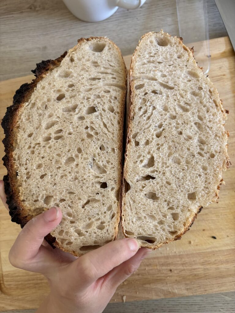 Is this finally well proofed crumb?