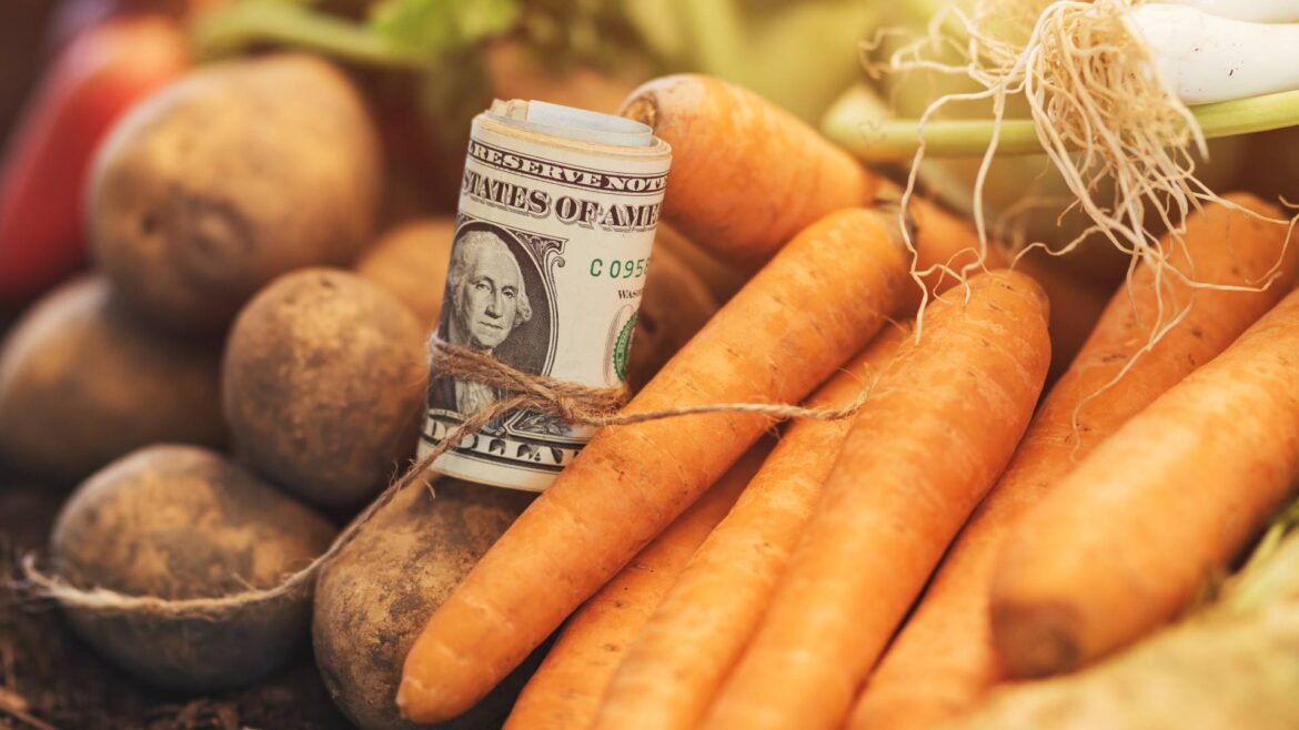 Going Vegan Could Save More Than $650 a Year in Grocery Costs, Finds New Research