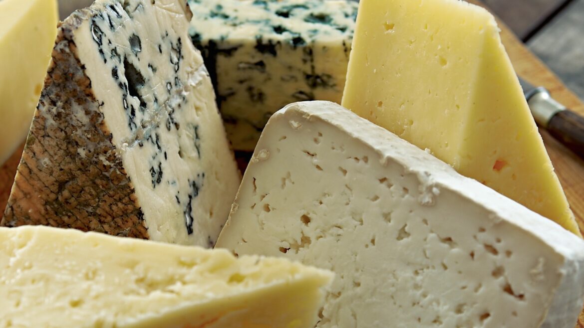 For a Healthy Heart, You May Have to Eat More Cheese | NOVA Nova Shop