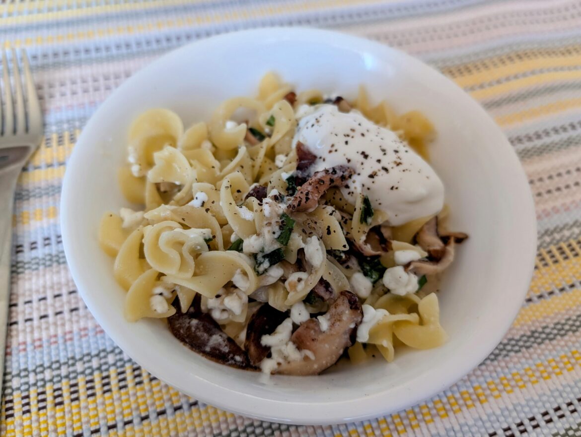 Egg noodles with cottage cheese, porcini mushrooms, and a dollop of sour cream