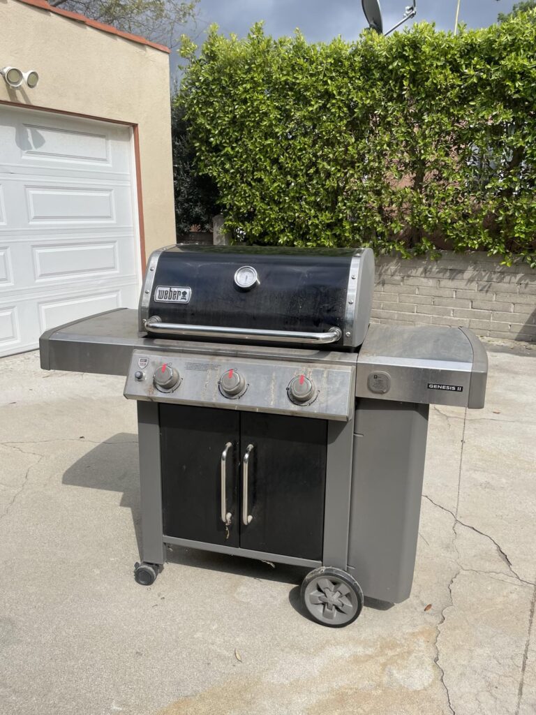 Picked up my first ever gas  grill - Weber Genesis II - for $50 yesterday…rehab tips?