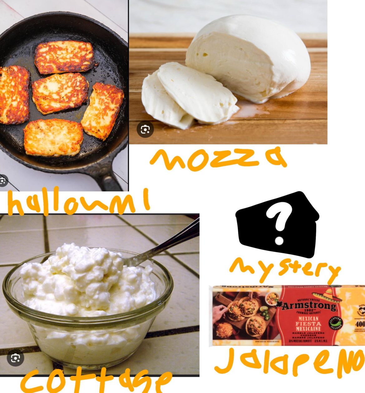 My favourite cheeses