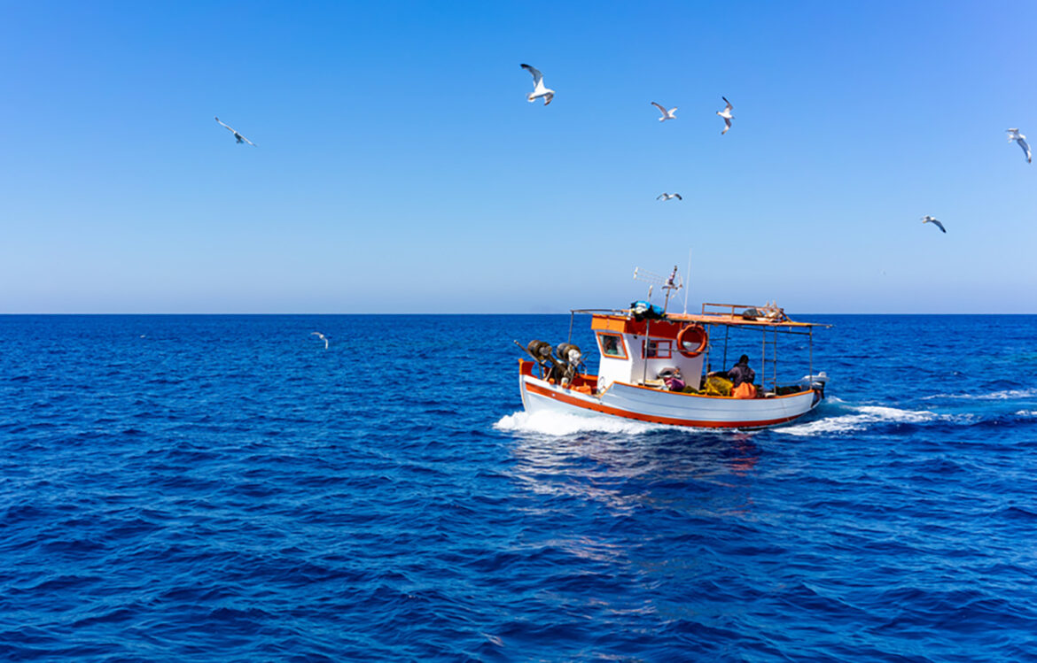 GFCM: Sustainability of Mediterranean, Black sea stocks on firmer footing GFCM: Sustainability of Mediterranean, Black sea stocks on firmer footing