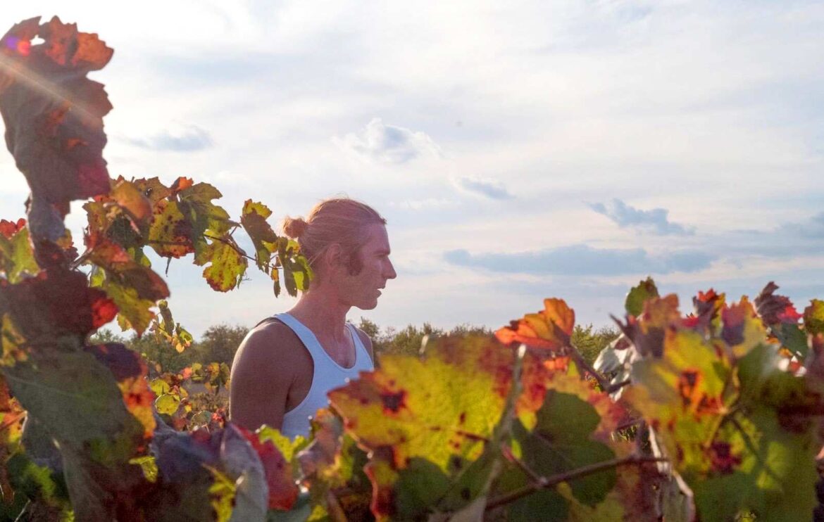 The French Winemaker on Where to Sip and Shop for Natural Wine in Paris