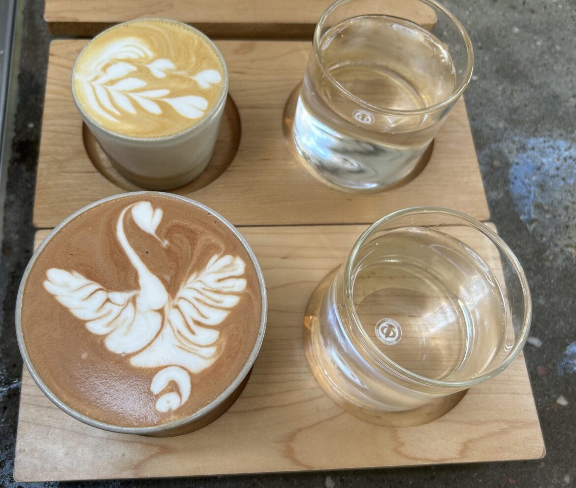 Playing around with a new swan pattern