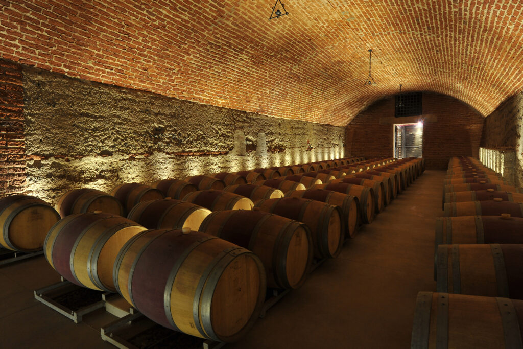 errazuriz winery cellar barrels