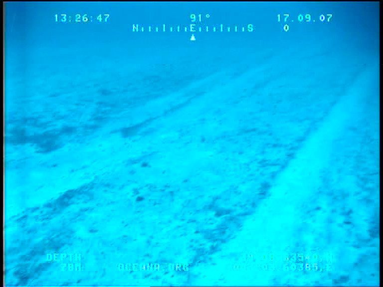 Bottom trawling carves tracks in the Mediterranean seabed, Cabrera National Park, Spain. <i> Credit: OCEANA <i>