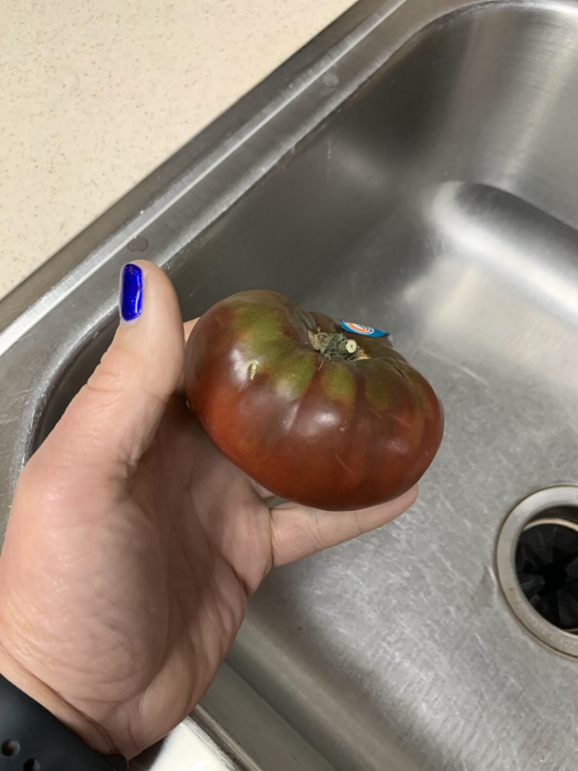 I got this beautiful tomato and it’s calling out to me to make a sandwich. What else would you put in the sandwich?