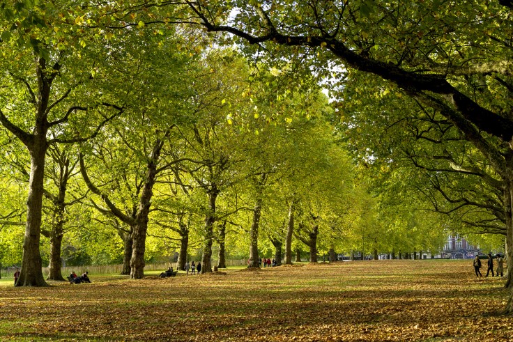Green Park (© joachimbago/iStock)