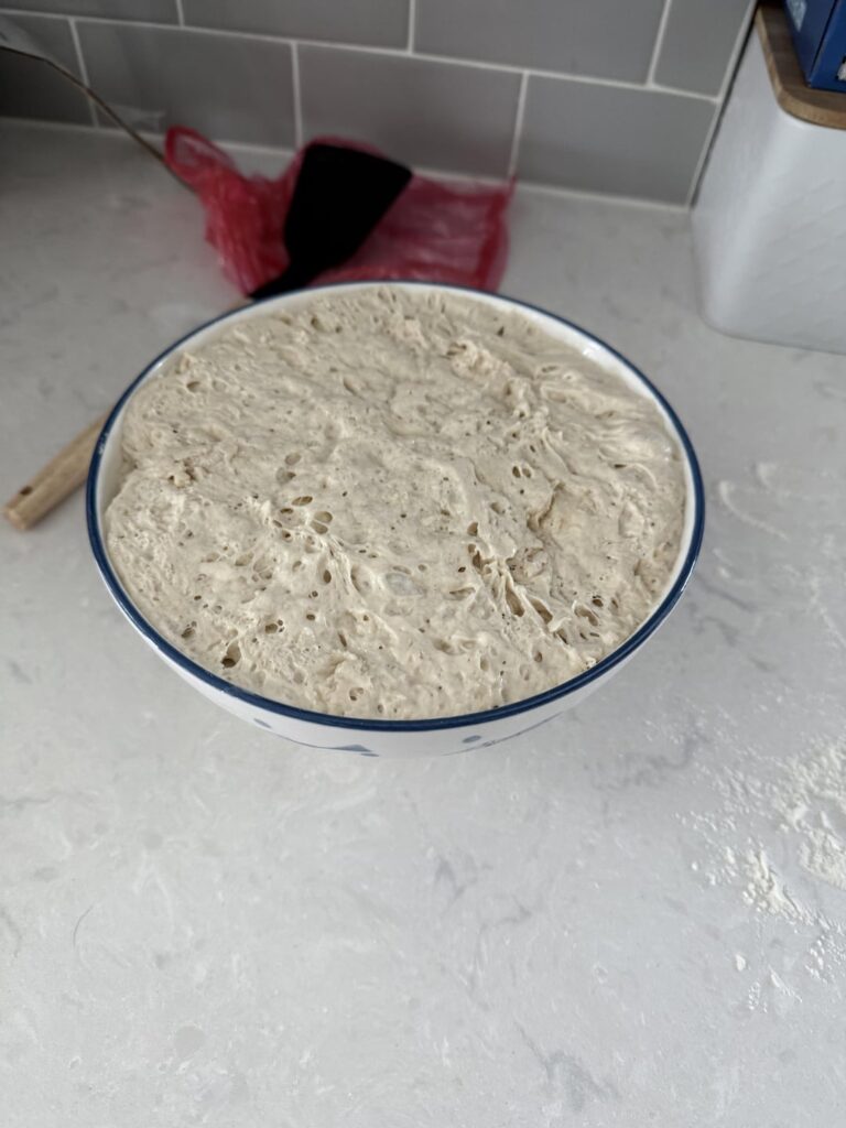 First time artisan bread