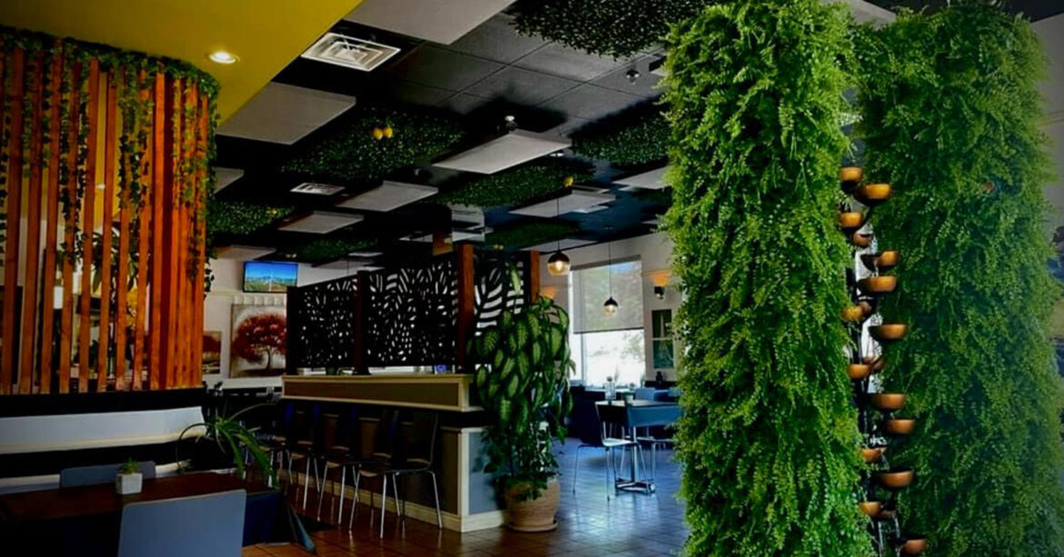 How This Canadian Restaurant Transitioned to an All-Vegan Menu The Lemon Tree