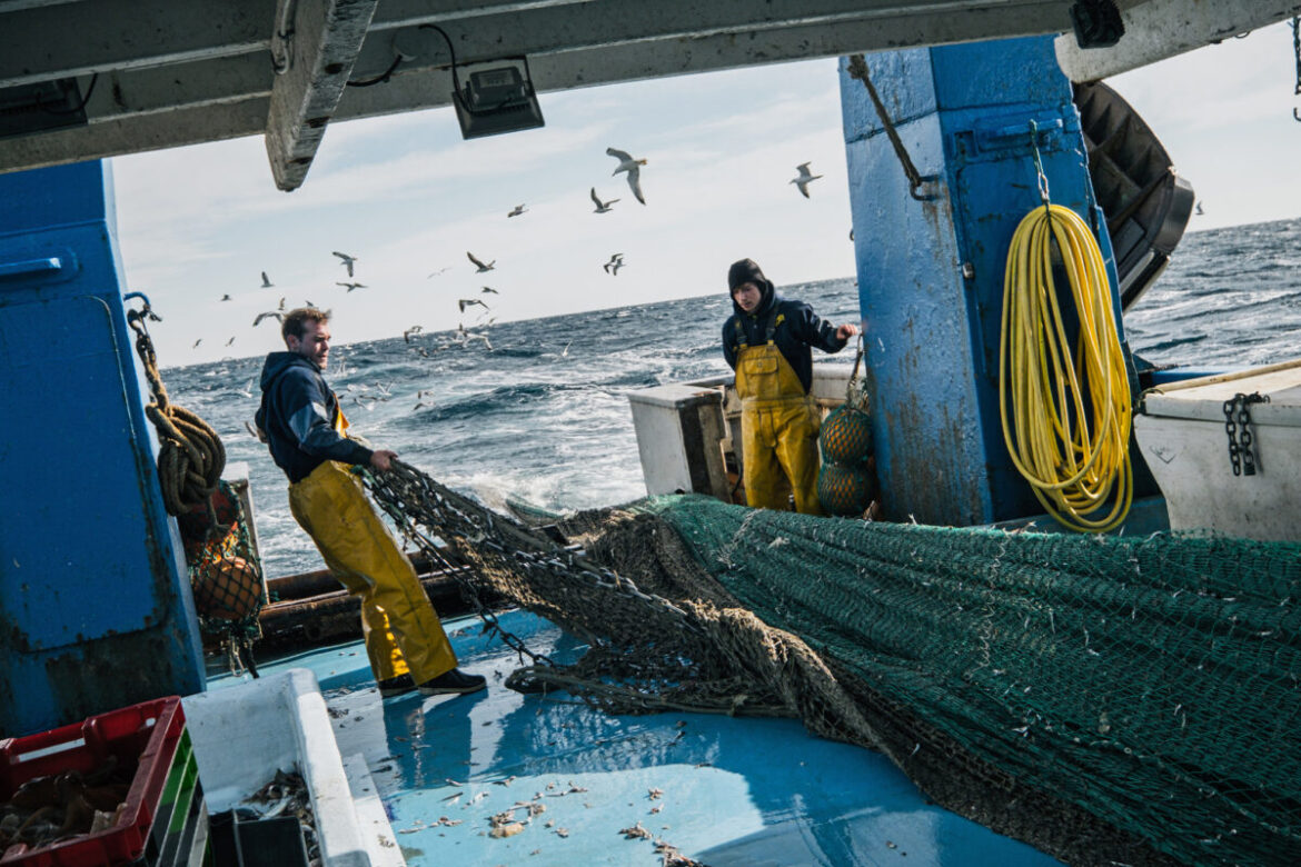 Can aquaculture solve the Mediterranean’s overfishing problem? Can aquaculture solve the Mediterranean’s overfishing problem?