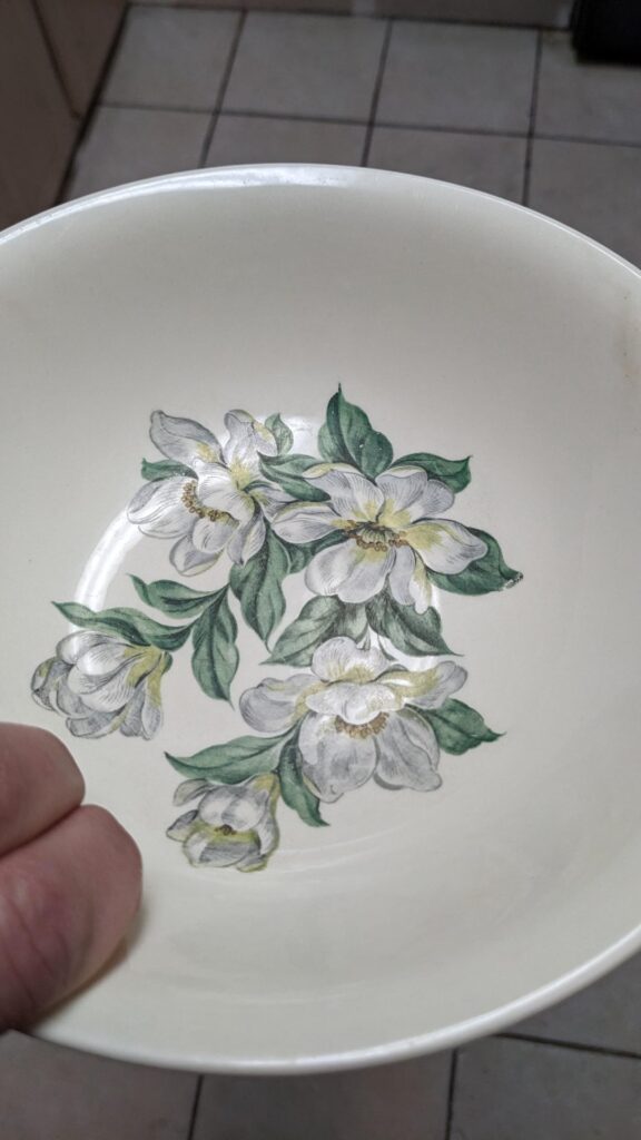 Can I use this bowl in the oven/broiler for finishing French Onion Soup?