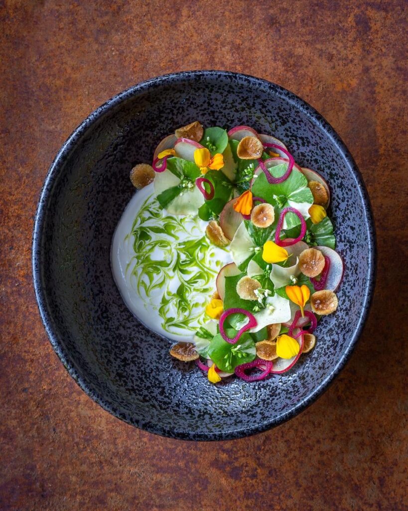 Miners Lettuce, Apple, Pickled Shallot, and Fried Sunchoke Salad with Lemon Cream and Tarragon Oil