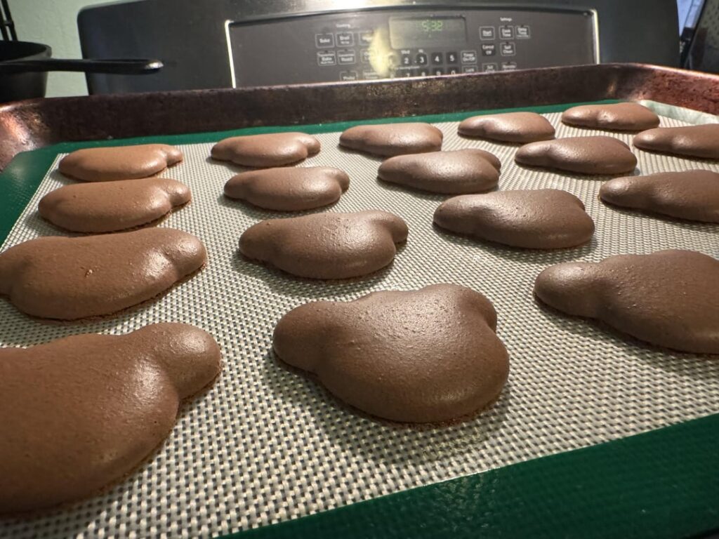 My macarons w/ little feet :-/