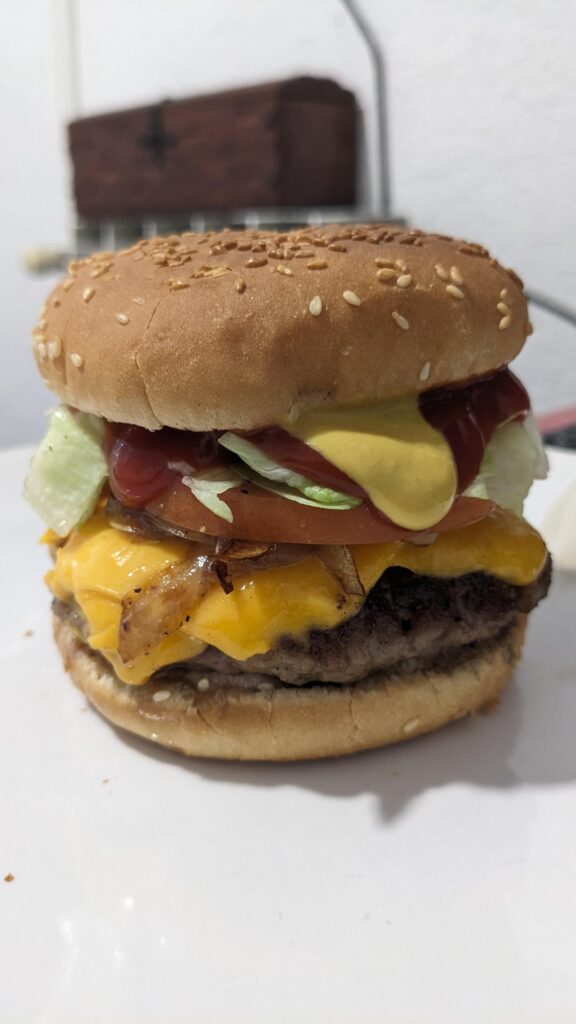 Just a quick cheeseburger for lunch