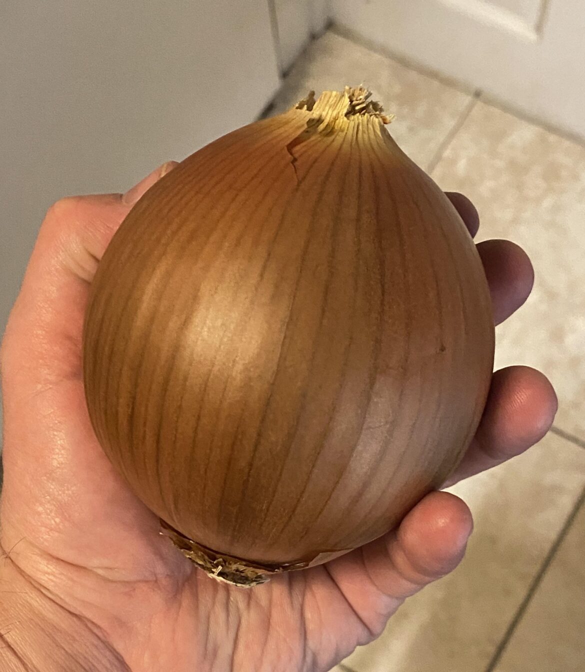 I wanted to share this beautiful onion with those who would appreciate it