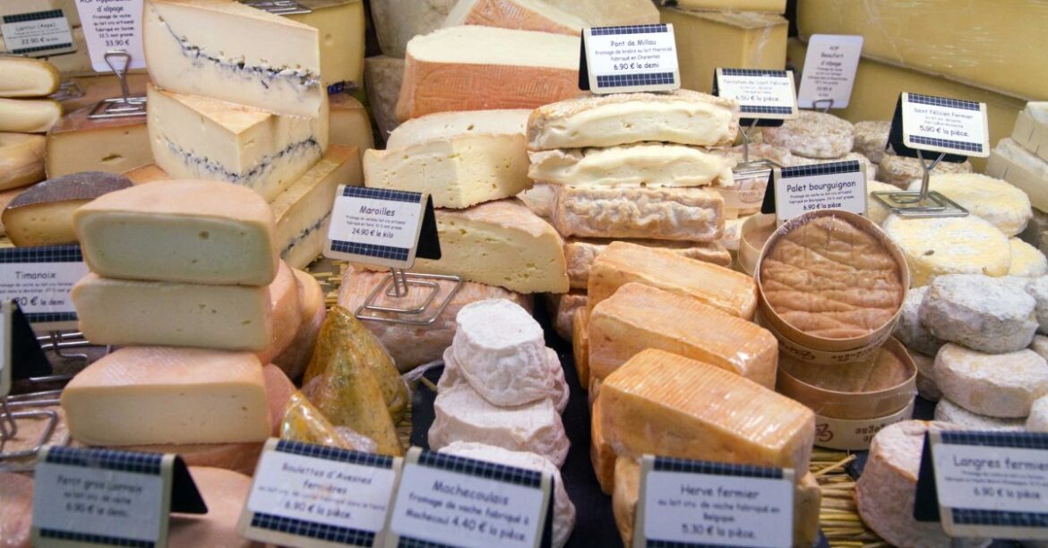 Cheese and Microbiota: Is Cheese Good for You and Your Microbiome?
