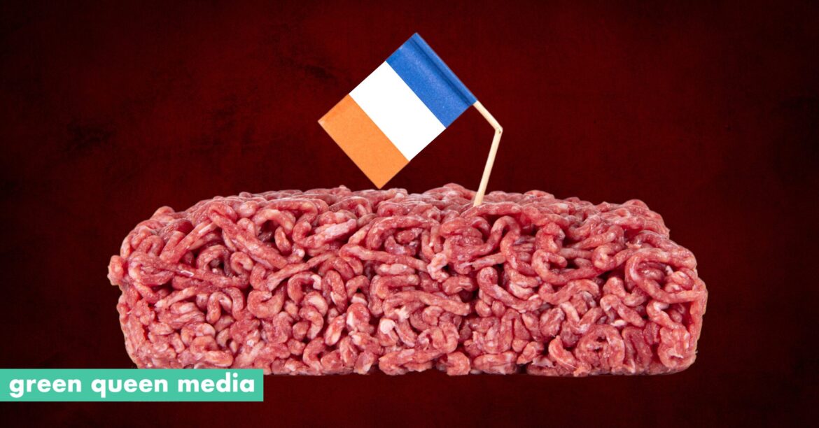 In France, Meat Consumption Declined by 6% Since 2003