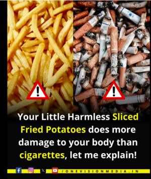French fries 2