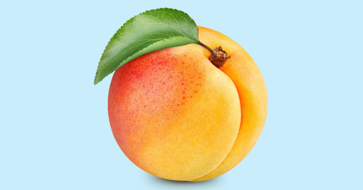 9 Of The Highest Potassium Fruits 9 Of The Highest Potassium Fruits