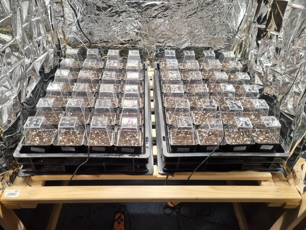 4 Weeks of growing 4 Weeks of growing