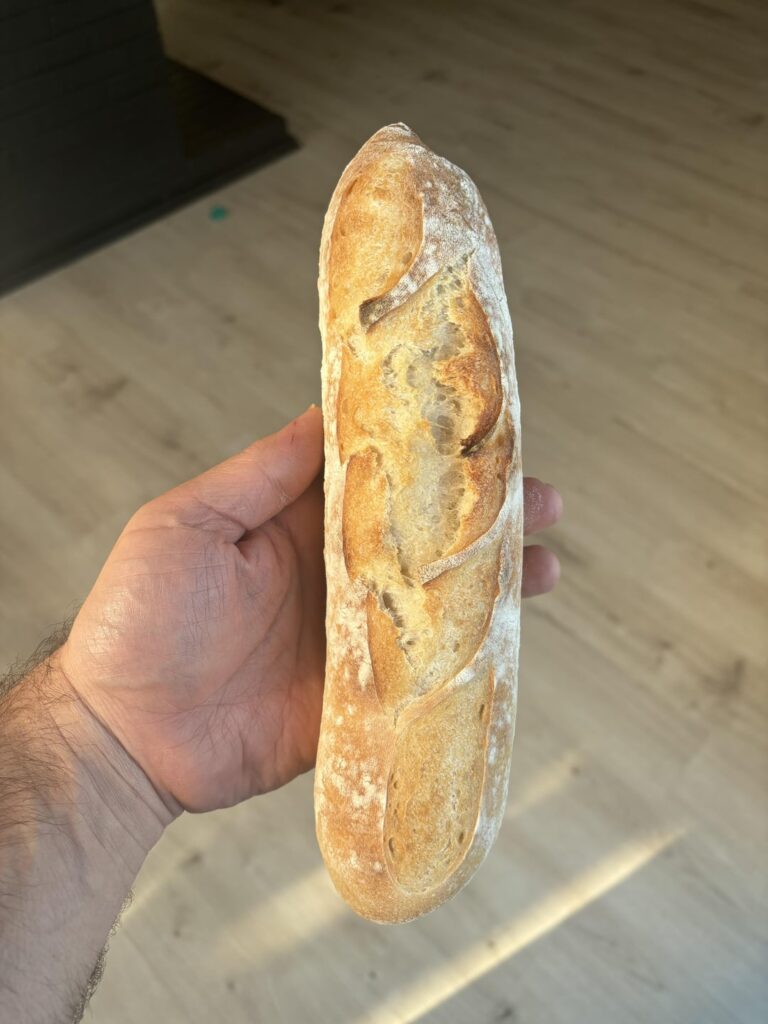 How'd I do on my first ever sourdough baguettes?