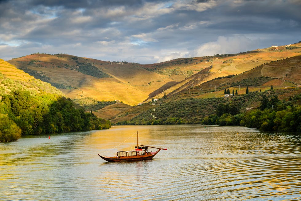 a traditional portuguese rabelo boat cruising down the duoro river, portugal terraced vineyards cover the hills next to the river