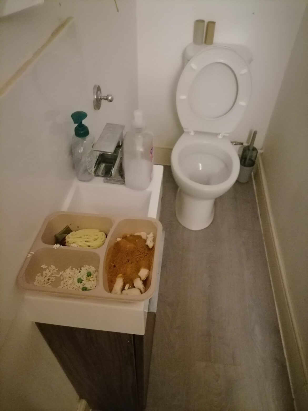 Sooo one of my housemates left a half eaten, half frozen ready meal in the loo...