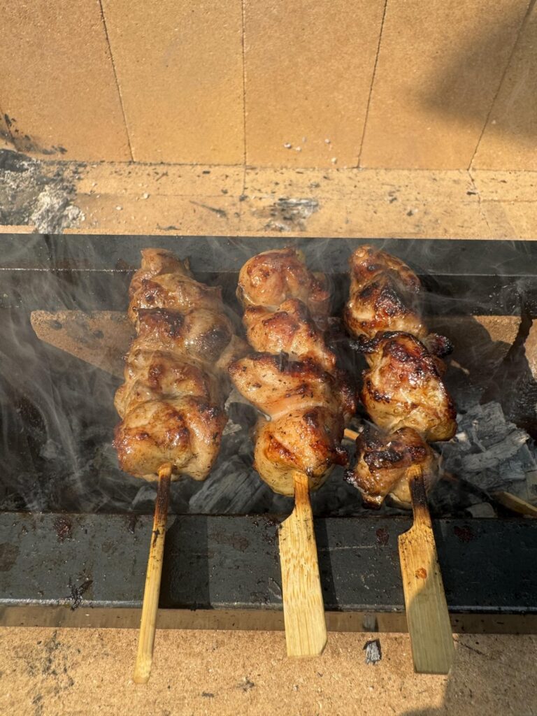 trying to make Yakitori