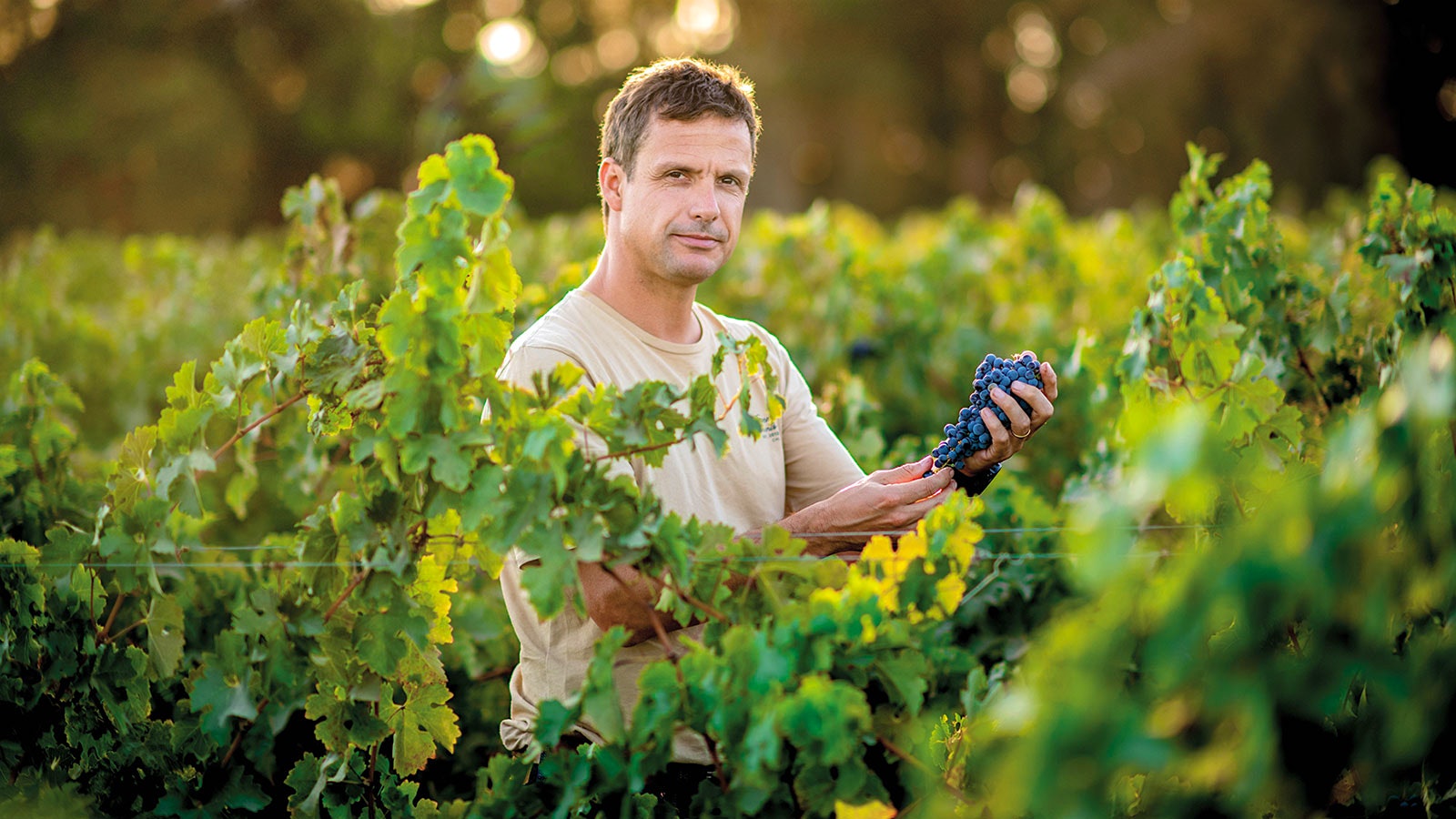 Aurelio Montes Jr. in a vineyard in Chile