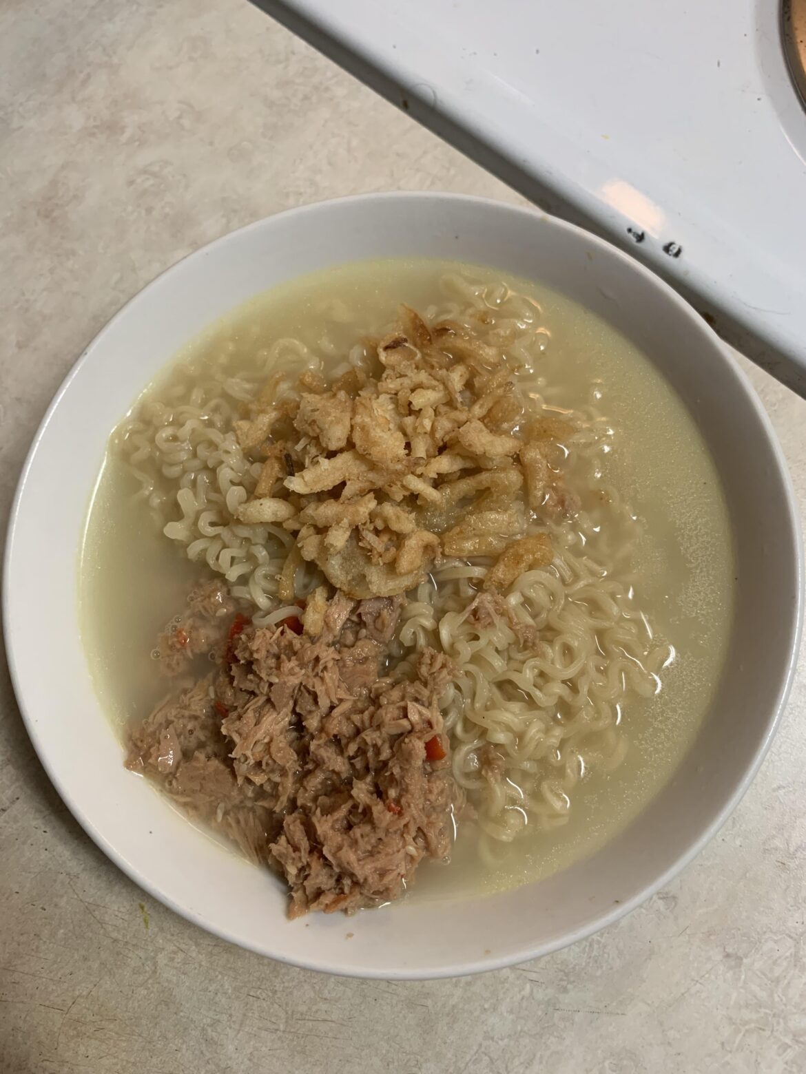 Yuengling, ramen noodles, lemon ginger tuna, French’s  fried onions, and Skibidi Toilet