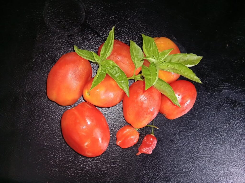 Chilli tomato relish