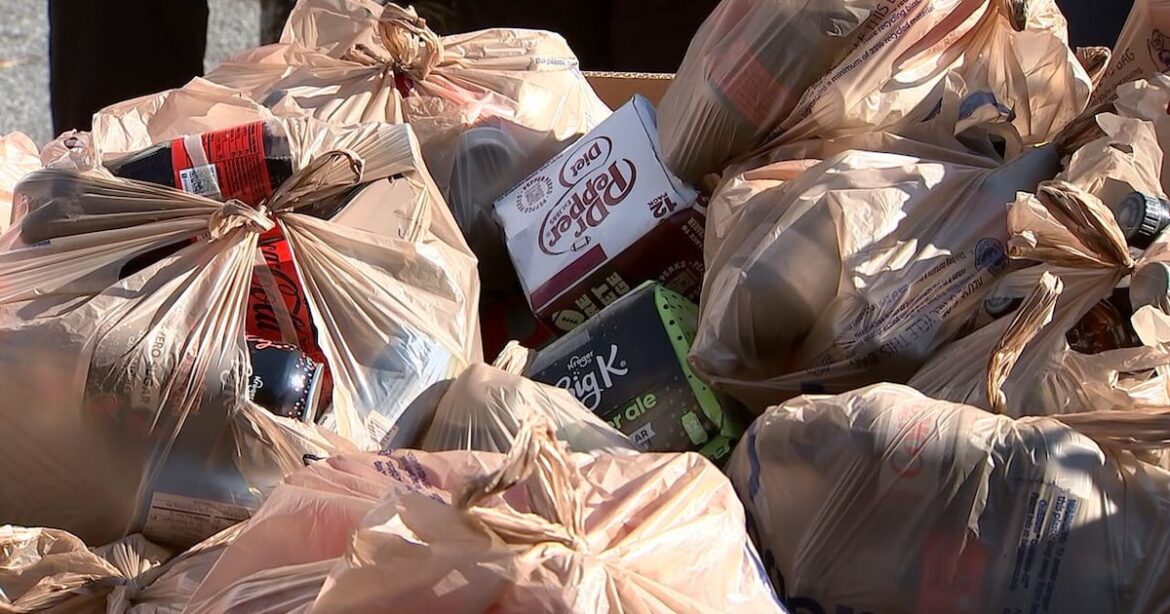 People in need line up for food from Hosea Helps at Christmas food drive in Atlanta – WSB-TV Channel 2