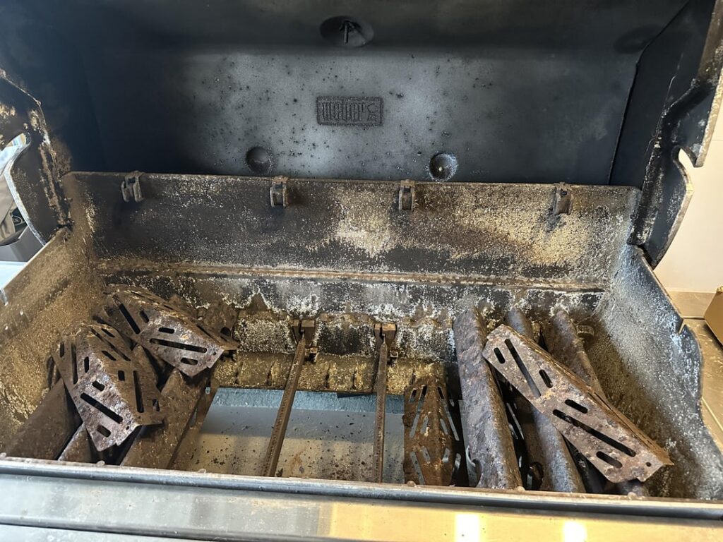 Grill recovery from neighbors shed, can we make it healthy.