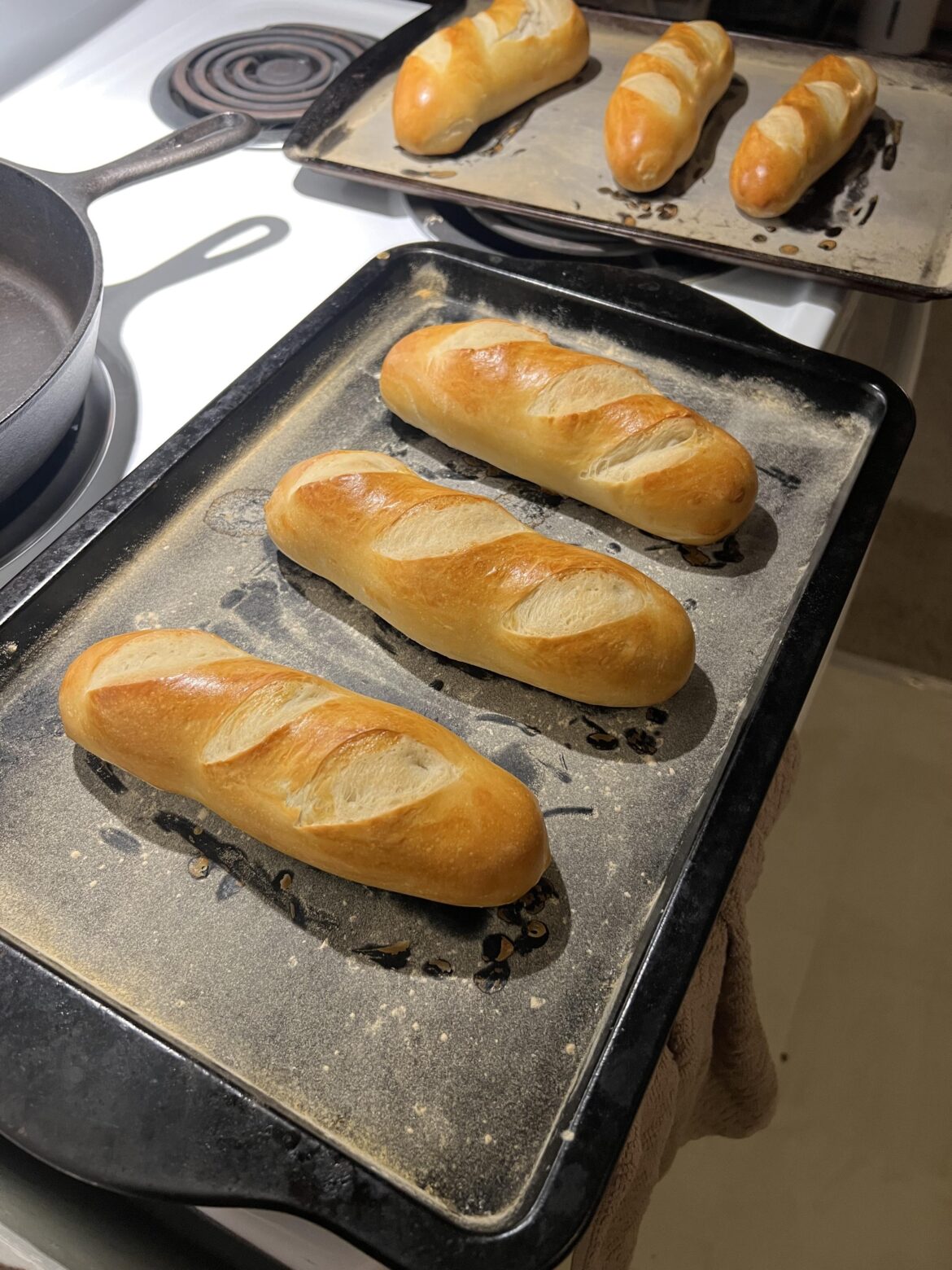 Hoagie rolls for the week