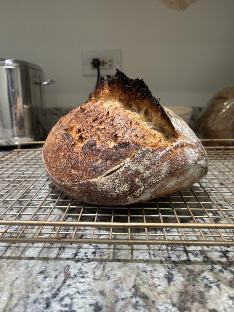 Local bakery starter saved my sanity Local bakery starter saved my sanity