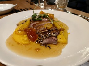 duck