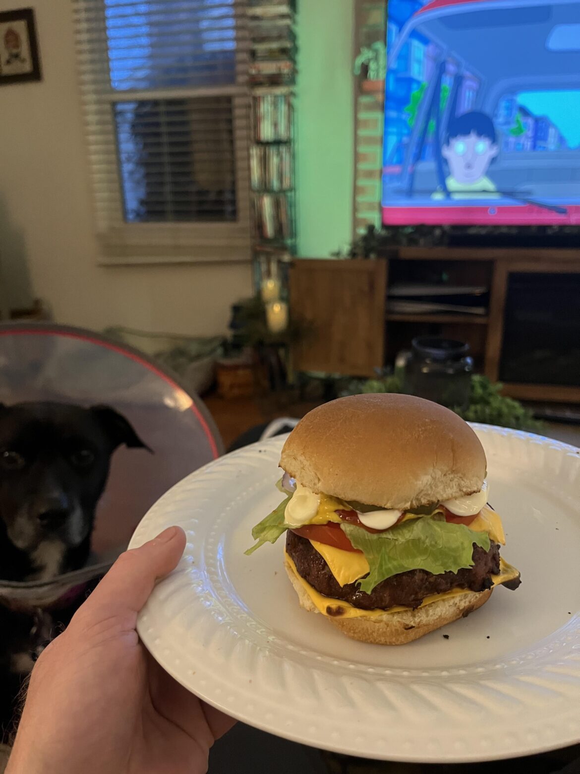 Made this last night. What do y’all think?