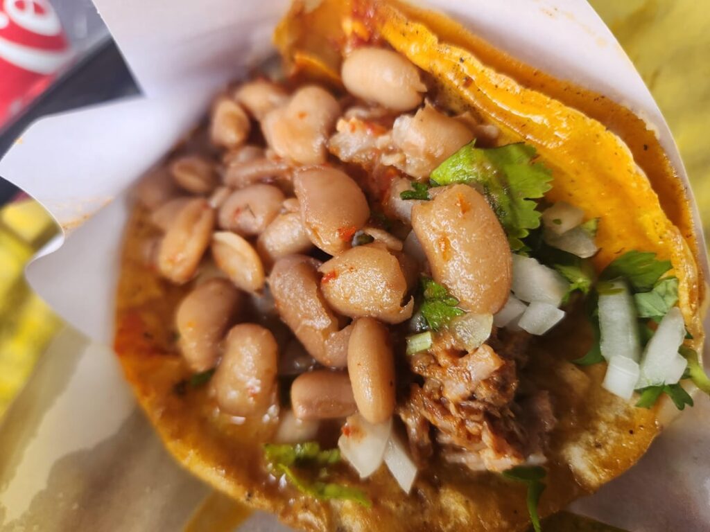 Birria quesataco from one of TJ's finest