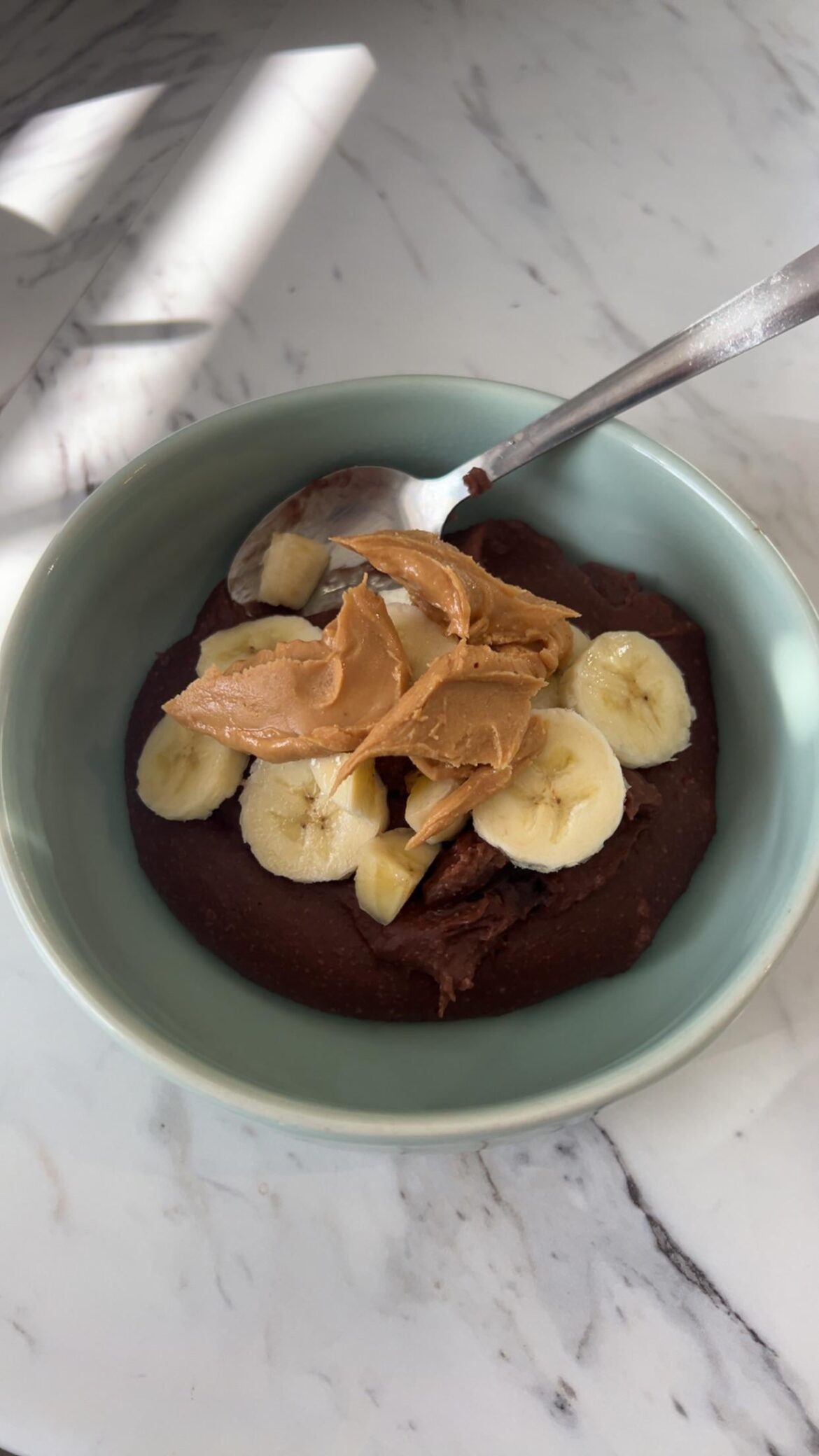 Brownie batter oats. 500 cals and 31g protein without peanut butter