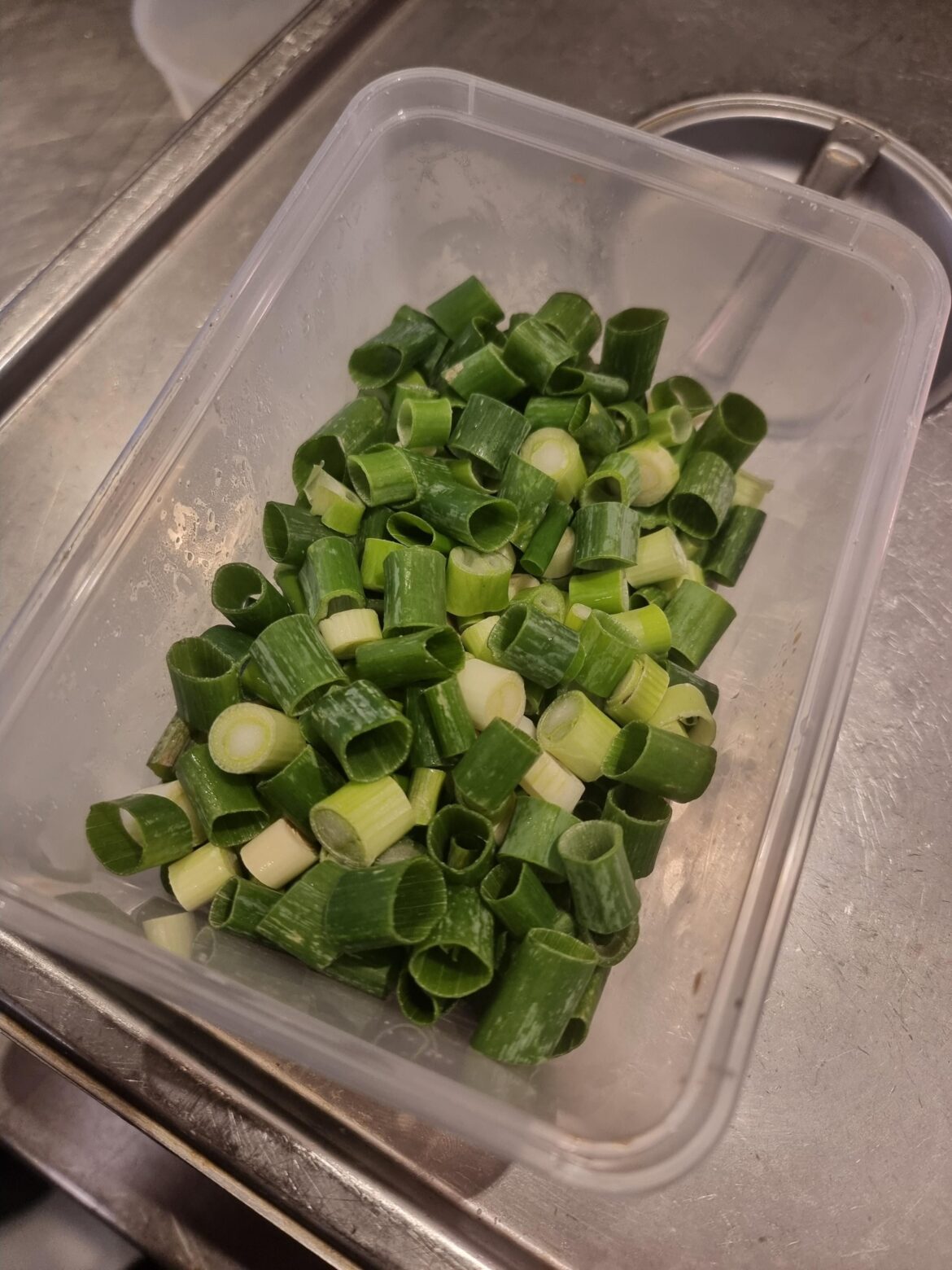 Last time you ask the pizza chef for shallot O's